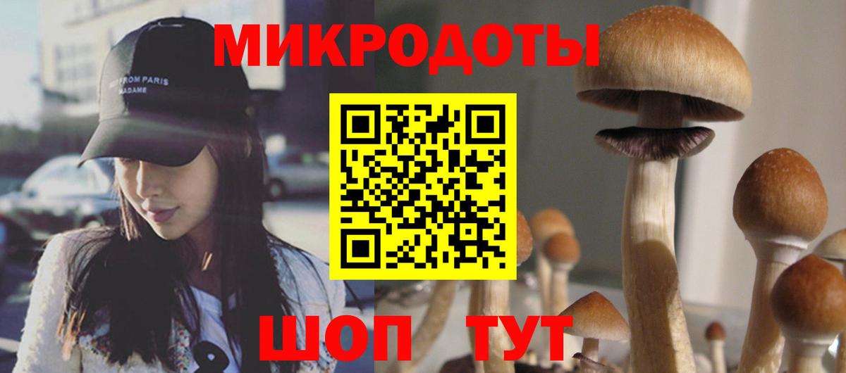 Галлюциногенные грибы Magic Shrooms Керчь